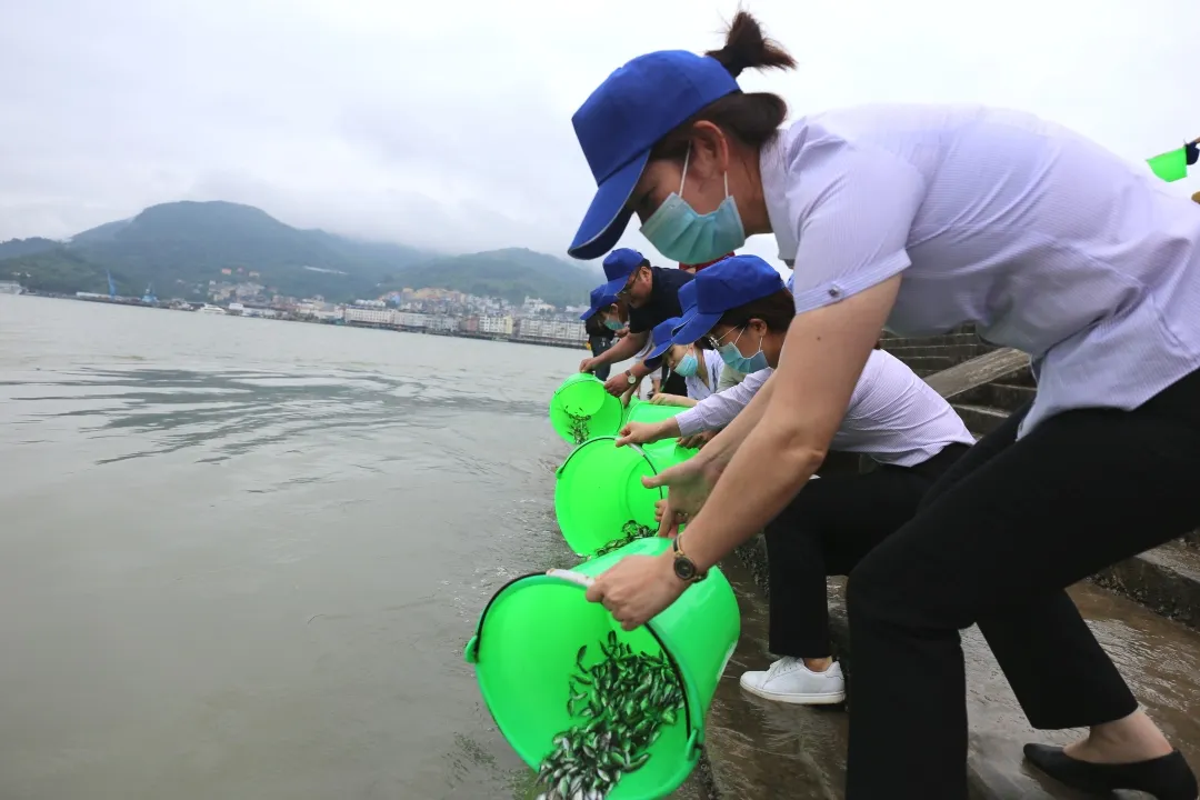 1756963238155747.jpg 1.jpg