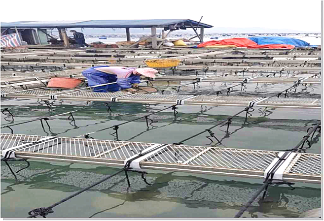 1756979383764195.png 微信圖片_20250903173822.png